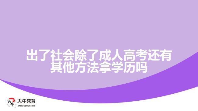 出了社會除了成人高考還有其他方法拿學(xué)歷嗎