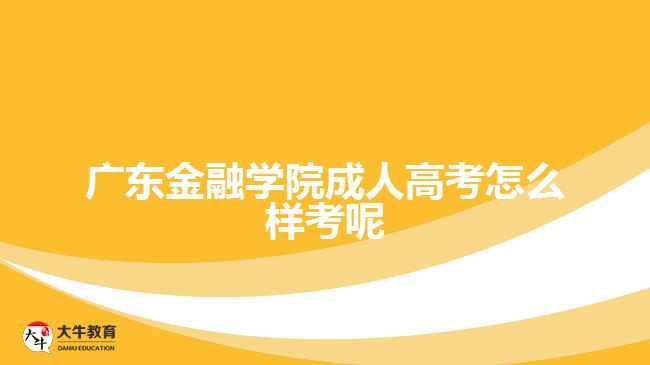 廣東金融學院成人高考怎么樣考呢