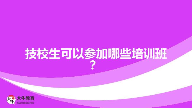 技校生可以參加哪些培訓(xùn)班？