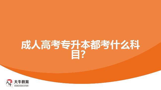 成人高考專升本都考什么科目？