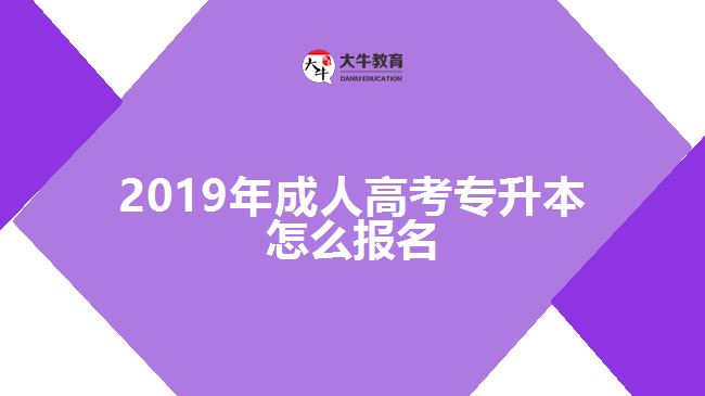 2019年成人高考專升本怎么報(bào)名