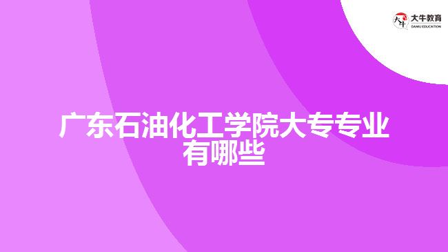 廣東石油化工學院大專專業(yè)有哪些