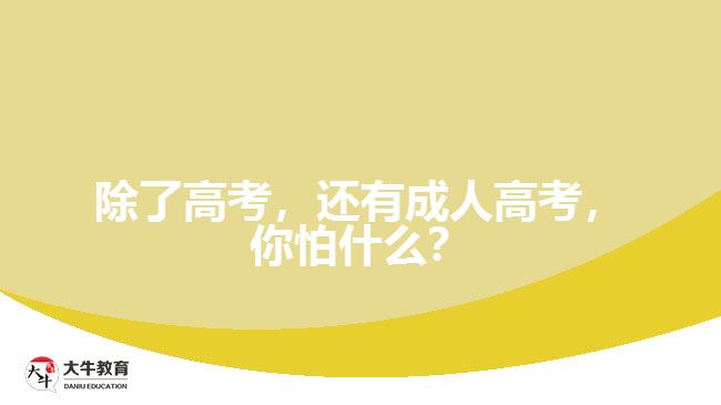 除了高考，還有成人高考，你怕什么？