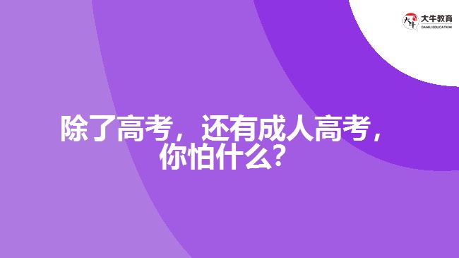 除了高考，還有成人高考，你怕什么？