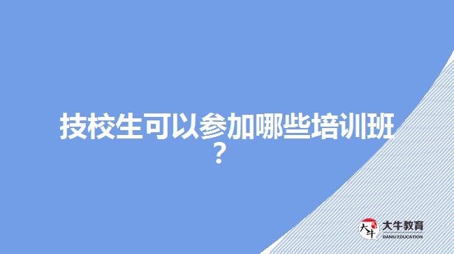 技校生可以參加哪些培訓(xùn)班？