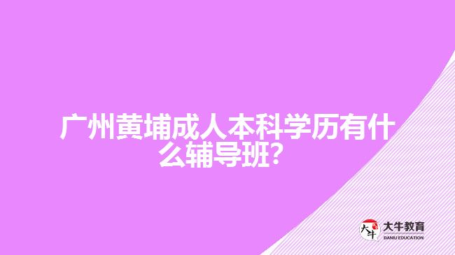 廣州黃埔成人本科學(xué)歷有什么輔導(dǎo)班？