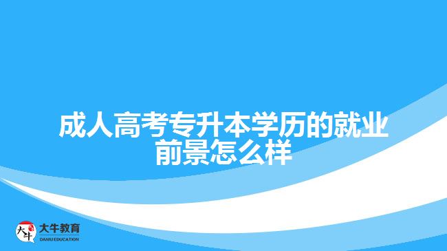 成人高考專升本學歷的就業(yè)前景怎么樣？