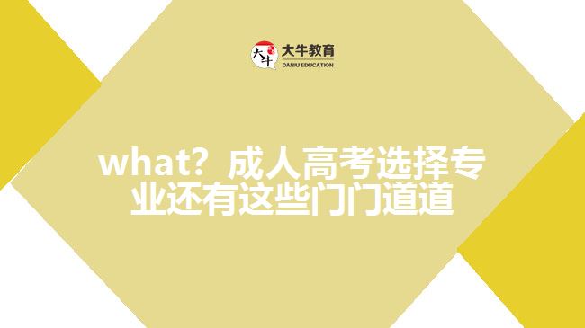 what？成人高考選擇專業(yè)還有這些門門道道