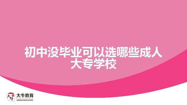 初中沒畢業(yè)可以選哪些成人大專學校