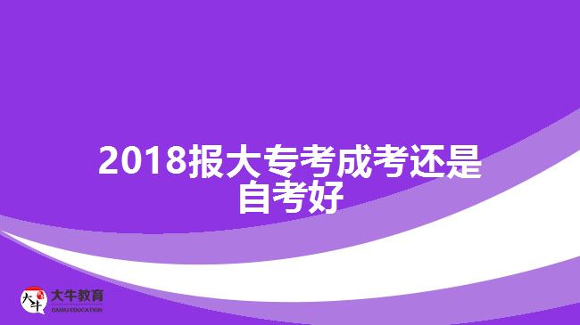 2018報大專考成考還是自考好