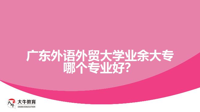 廣東外語外貿(mào)大學(xué)業(yè)余大專哪個專業(yè)好？