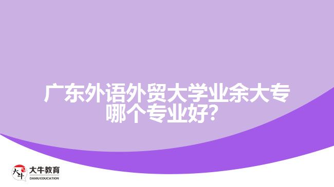 廣東外語外貿大學業(yè)余大專哪個專業(yè)好？