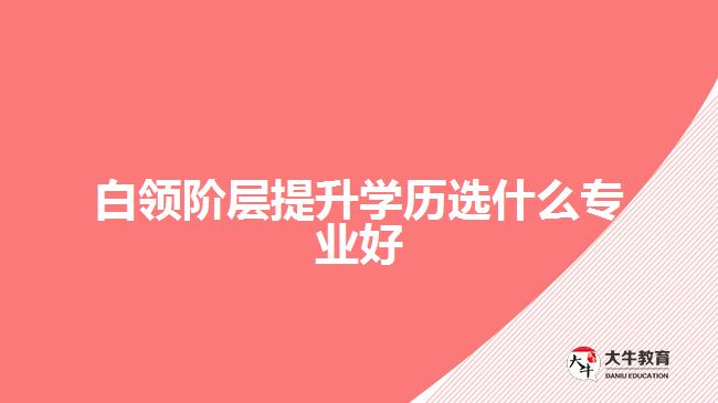 白領階層提升學歷選什么專業(yè)好