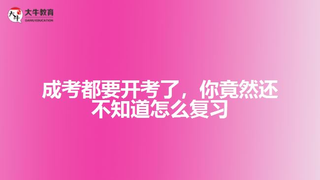 成考都要開考了，你竟然還不知道怎么復習