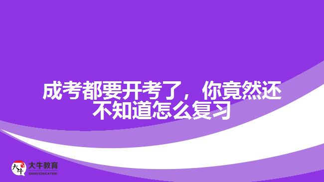 成考都要開考了，你竟然還不知道怎么復習