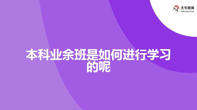 本科業(yè)余班是如何進行學習的呢