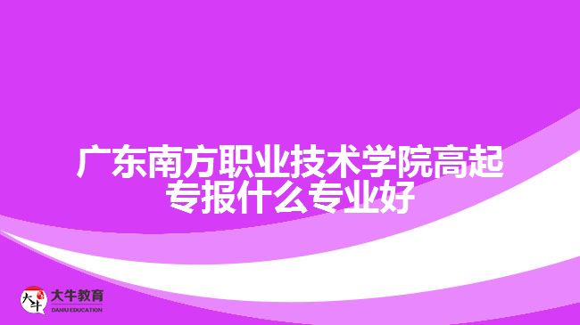 廣東南方職業(yè)技術學院高起專報什么專業(yè)好