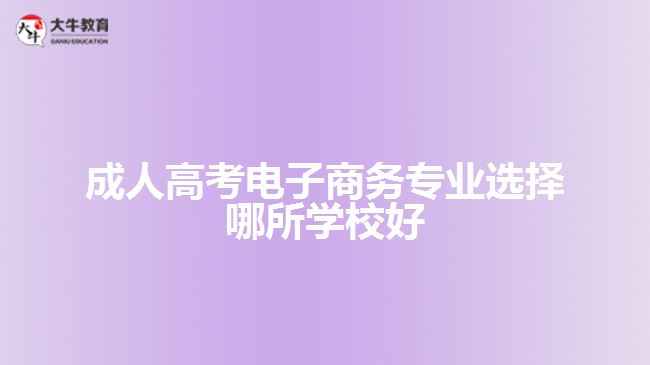 成人高考電子商務專業(yè)選擇哪所學校好