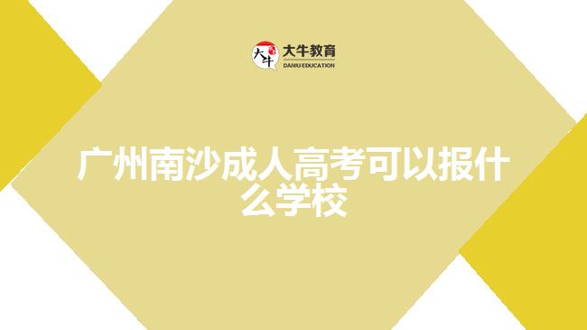 廣州南沙成人高考可以報什么學(xué)校