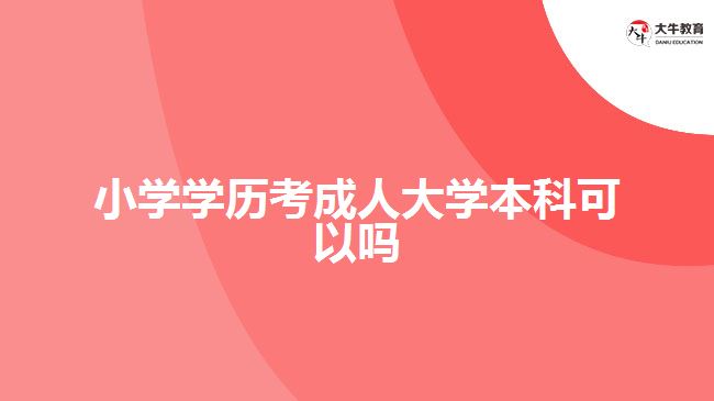 小學學歷考成人大學本科可以嗎