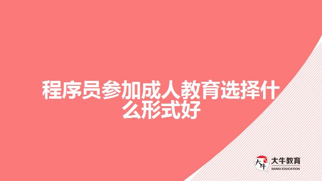 程序員參加成人教育選擇什么形式好