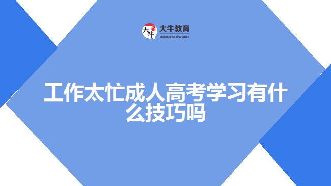 工作太忙成人高考學(xué)習(xí)有什么技巧嗎