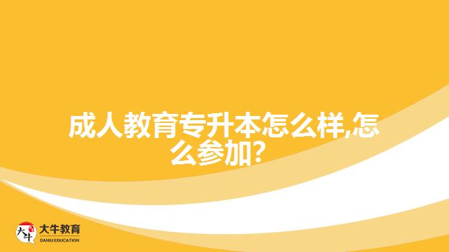 成人教育專升本怎么樣,怎么參加？