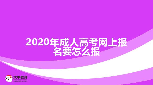 ，2020年成人高考網(wǎng)上報(bào)名要怎么報(bào)