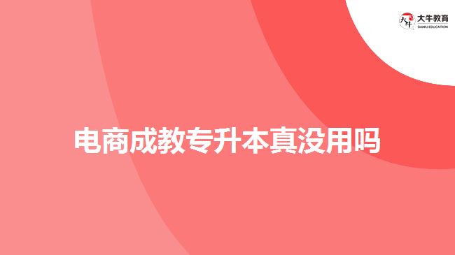 電商成教專升本真沒(méi)用嗎