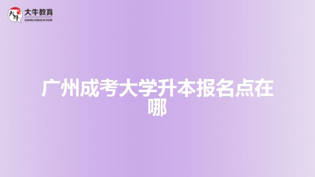 廣州成考大學(xué)升本報(bào)名點(diǎn)在哪