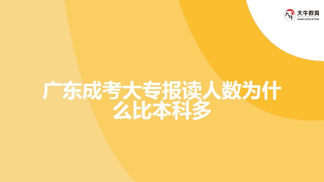 廣東成考大專報(bào)讀人數(shù)為什么比本科多