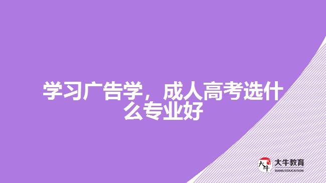 學(xué)習(xí)廣告學(xué)，成人高考選什么專業(yè)好