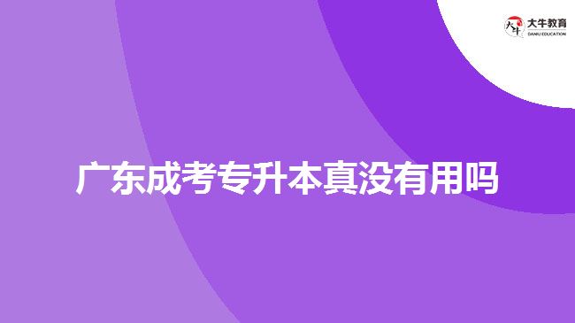 廣東成考專升本真沒有用嗎