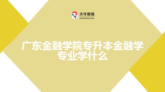 廣東金融學院專升本金融學專業(yè)學什么