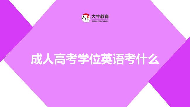 成人高考學位英語考什么