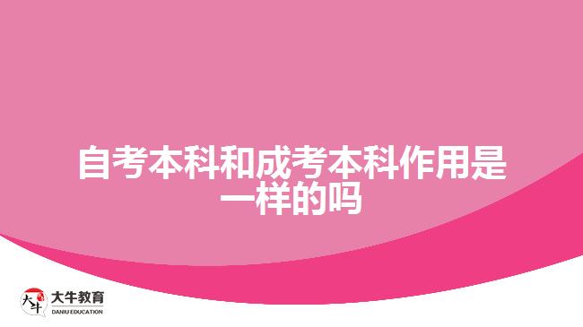 自考本科和成考本科作用是一樣的嗎