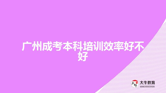 廣州成考本科培訓效率好不好