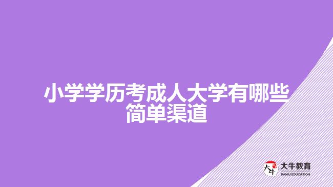 小學學歷考成人大學有哪些簡單渠道