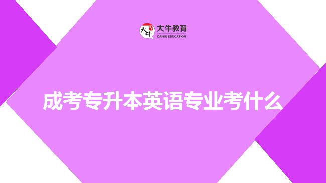 成考專升本英語專業(yè)考什么