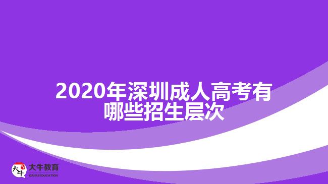 2020年深圳成人高考有哪些招生層次