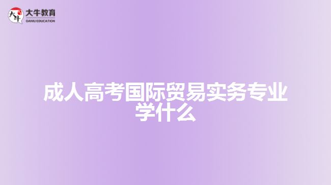 成人高考國際貿(mào)易實務(wù)專業(yè)學(xué)什么