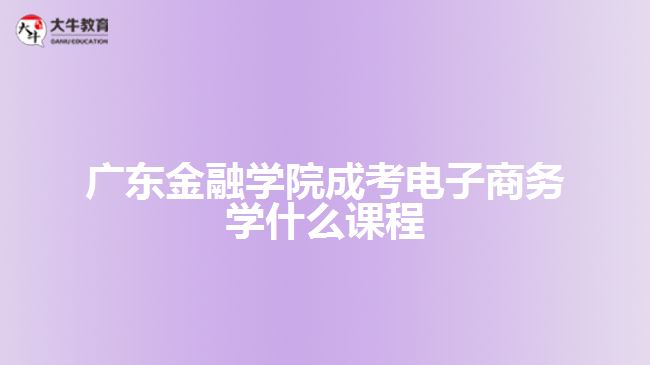 廣東金融學院成考電子商務(wù)學什么課程