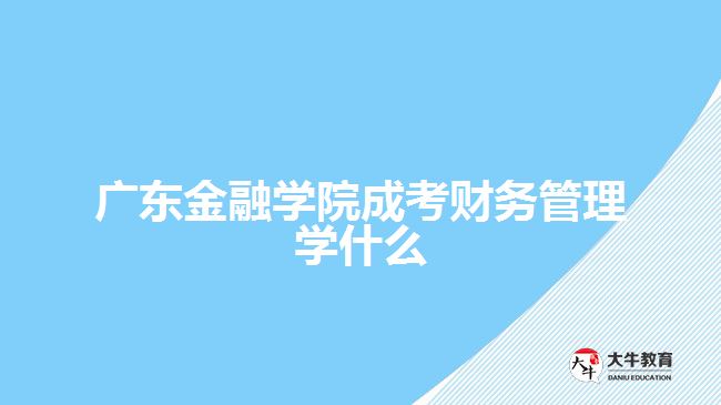 廣東金融學院成考財務管理學什么