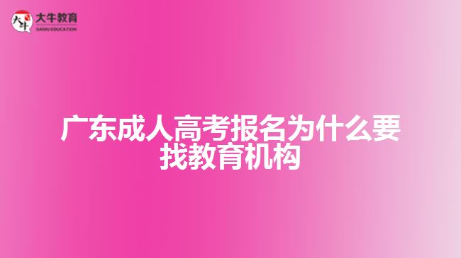 廣東成人高考報(bào)名為什么要找教育機(jī)構(gòu)