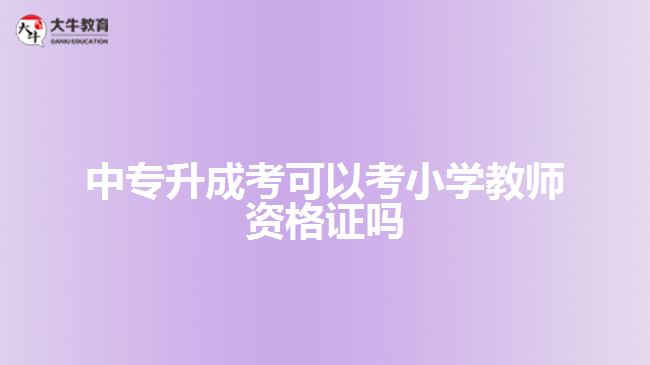 中專升成考可以考小學(xué)教師資格證嗎