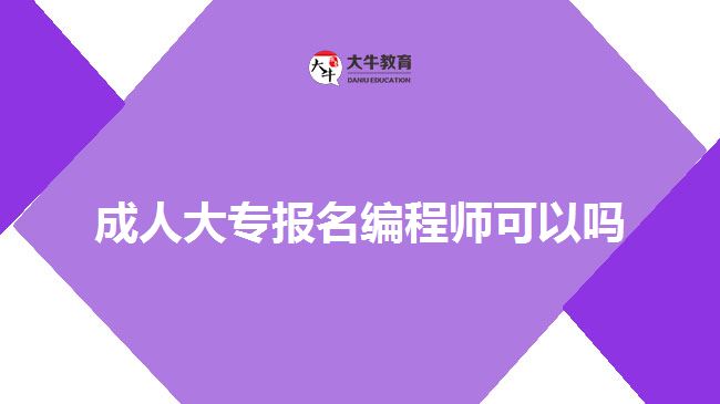 成人大專(zhuān)報(bào)名編程師可以嗎