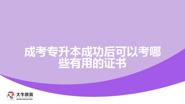 成考專升本成功后可以考哪些有用的證書