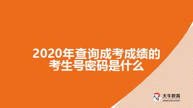 2020年查詢成考成績的考生號(hào)密碼是什么