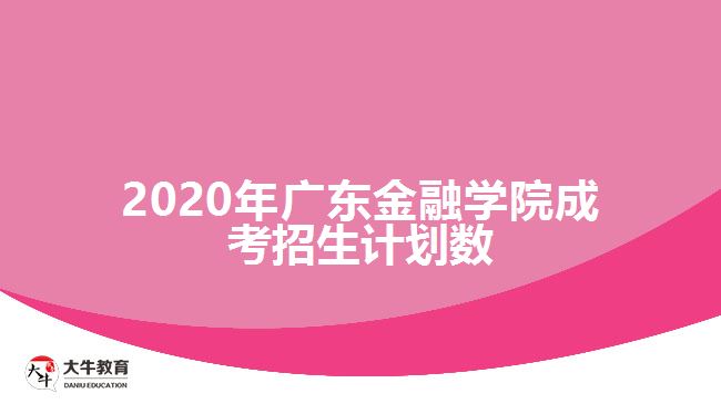 2020年廣東金融學(xué)院成考招生計(jì)劃數(shù)