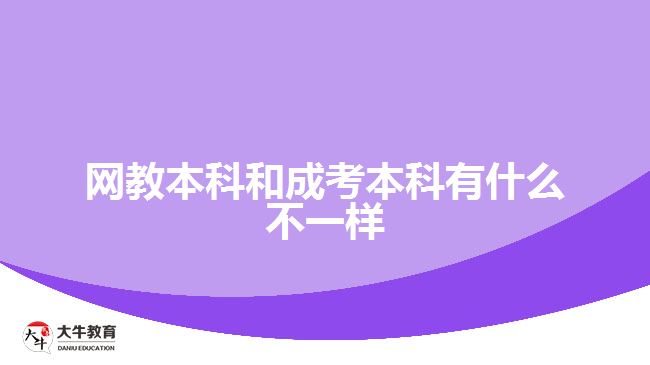 網教本科和成考本科有什么不一樣